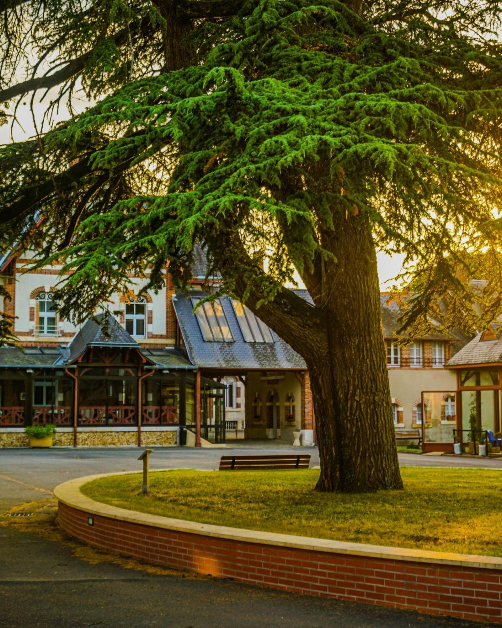 Hotel-Restaurant Domaine De La Grande Garenne Neuvy-sur-Barangeon Buitenkant foto